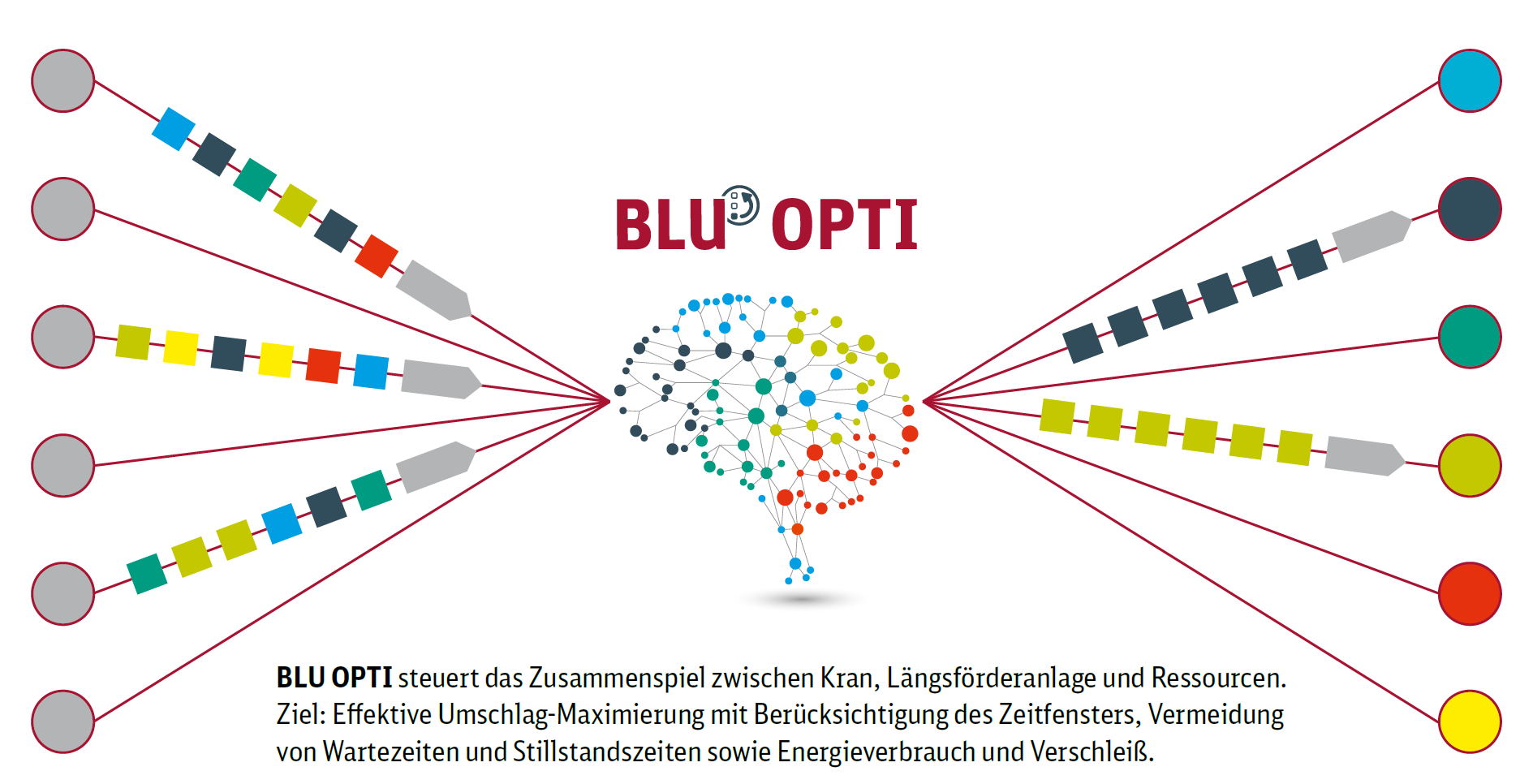 BLU OPTI - The Brain